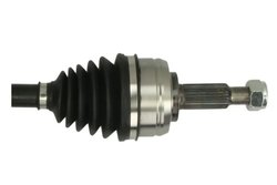 Planetara Pascal G2R146PC