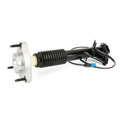 Amortizor Arnott SK-3817