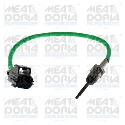 Senzor temperatura gaze evacuare Meat & Doria 12814