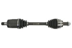 Planetara Pascal G2B010PC