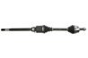 Planetara Pascal G2D014PC