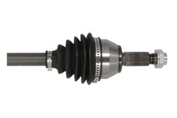 Planetara Pascal G2G051PC