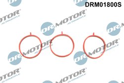 Set garnituri galerie admisie Dr.Motor Automotive DRM01800S