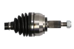 Planetara Pascal G2R174PC