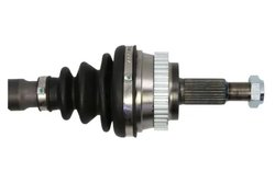 Planetara Pascal G2R032PC