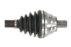 Planetara Pascal G2W041PC