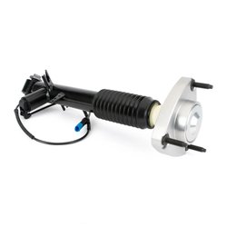 Amortizor Arnott SK-3816