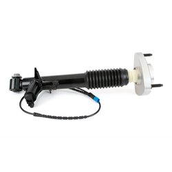 Amortizor Arnott SK-3816