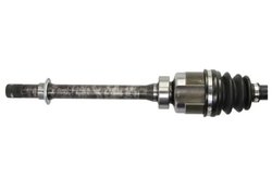 PLANETARA PASCAL G2R169PC - Compatibil cu RENAULT