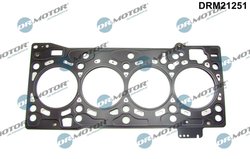 Garnitura chiuloasa Dr.Motor Automotive DRM21251