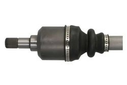 Planetara Pascal G2P009PC