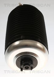 Arc pneumatic directie Triscan 8720 29203