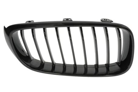 Grila radiator BLIC 6502-07-0081996P