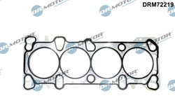 Garnitura chiuloasa Dr.Motor Automotive DRM72219