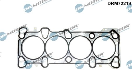 Garnitura chiuloasa Dr.Motor Automotive DRM72219