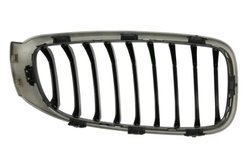 GRILA RADIATOR BLIC 6502-07-0081995P - Compatibil cu BMW