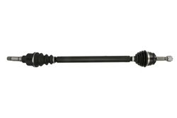 Planetara POINT GEAR PNG75929