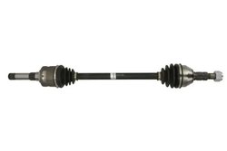 Planetara POINT GEAR PNG75928