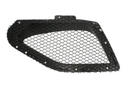 Grila radiator BLIC 6502-07-6901992SP