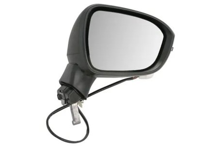 Oglinda exterioara BLIC 5402-16-2556313P
