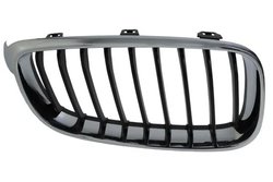 Grila radiator BLIC 6502-07-0081992GP