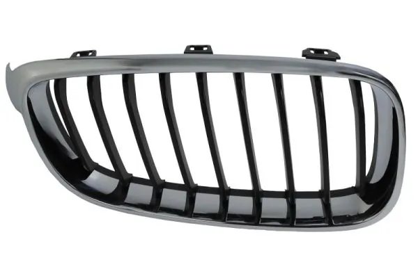 Grila radiator BLIC 6502-07-0081992GP