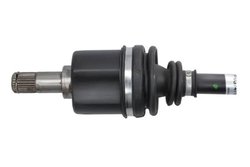 Planetara POINT GEAR PNG74115