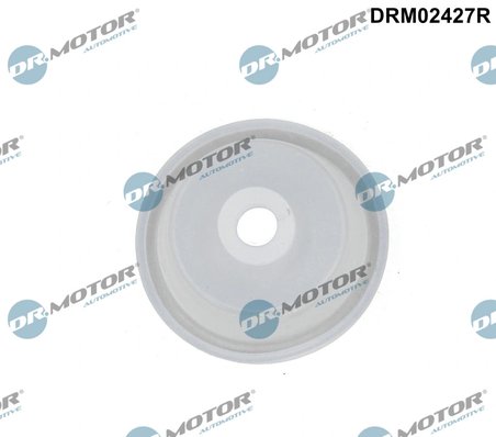 SUPAPA, COMANDA AER (AER ASPIRATIE) DR.MOTOR AUTOMOTIVE DRM02427R - Compatibil cu BMW