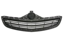 Grila radiator BLIC 6502-07-5055991P