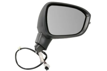 Oglinda exterioara BLIC 5402-16-2556311P