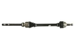 Planetara POINT GEAR PNG75859