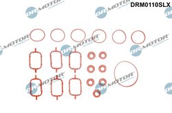 SET GARNITURI GALERIE ADMISIE DR.MOTOR AUTOMOTIVE DRM0110SLX - Compatibil cu BMW, LAND ROVER, OPEL