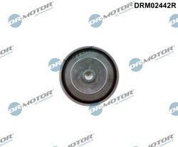 Supapa, comanda aer (aer aspiratie) Dr.Motor Automotive DRM0