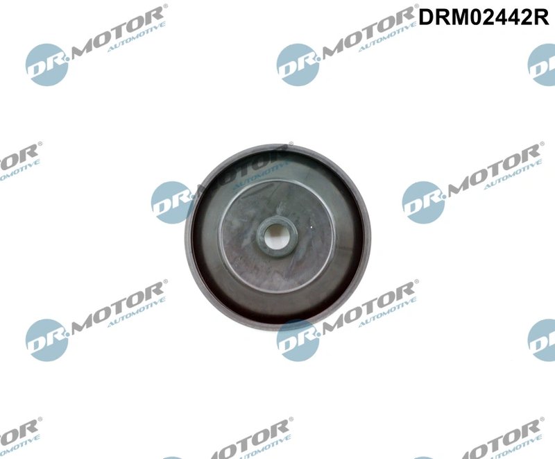 Supapa, comanda aer (aer aspiratie) Dr.Motor Automotive DRM0