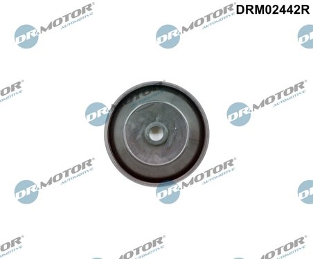 Supapa, comanda aer (aer aspiratie) Dr.Motor Automotive DRM0