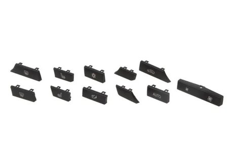 element de control,aer conditionat BLIC 1000-00-0067110SP