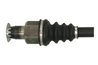 PLANETARA POINT GEAR PNG75863 - Compatibil cu CITROEN, PEUGEOT