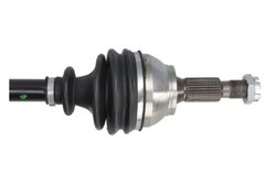 PLANETARA POINT GEAR PNG75860 - Compatibil cu CITROEN, OPEL, PEUGEOT