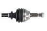 PLANETARA POINT GEAR PNG75860 - Compatibil cu CITROEN, OPEL, PEUGEOT