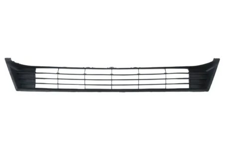 Grila radiator BLIC 6502-07-8119995P