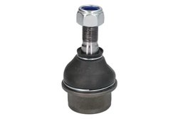 Pivot REINHOCH RH54-1001