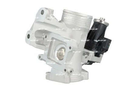 Supapa EGR NRF 48738