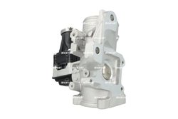 Supapa EGR NRF 48738