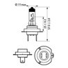 Bec, far faza lunga PHILIPS 12643LLB1