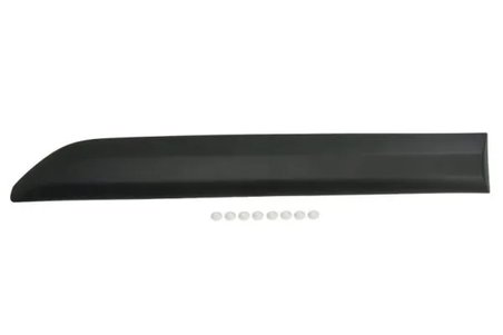 Elemente decorative/protectie, portiera BLIC 5703-04-0559576