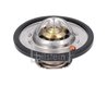 Termostat lichid racire Febi Bilstein 193096