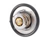 Termostat lichid racire Febi Bilstein 193096