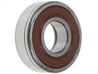 Lagar AS-PL ABE9252(SKF)