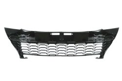 Grila radiator BLIC 6502-07-8156992P