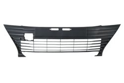 Grila radiator BLIC 6502-07-8156991P